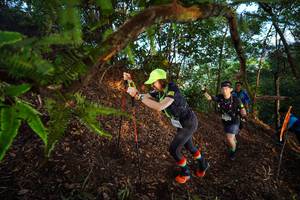 BIB: 
                            <button type="button" onclick="openModal(21873359)" class="btn btn-primary btn-sm float-right btn-popup" data-toggle="modal" data-target=".modal-high-quality">
                        <i class="fas fa-shopping-cart"></i> Add to Cart
                    </button>
                                            <button type="button" onclick="isThisMe(21873359, true)" class="btn btn-success btn-sm float-right btn-popup btn-isme hidden" data-toggle="tooltip" data-placement="bottom" title="นี่คือรูปของคุณใช่ไหม คลิกที่นี่เพื่อเอาเข้าอัลบั้ม">
                        <i class="fas fa-plus"></i> Add to album
                    </button>
                    <button type="button" onclick="isThisMe(21873359, false)" class="btn btn-warning btn-sm float-right btn-popup btn-isnotme hidden">
                        <i class="fas fa-ban"></i> Remove from album
                    </button>