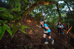 BIB: 2400
                            <button type="button" onclick="openModal(21873504)" class="btn btn-primary btn-sm float-right btn-popup" data-toggle="modal" data-target=".modal-high-quality">
                        <i class="fas fa-shopping-cart"></i> Add to Cart
                    </button>
                                            <button type="button" onclick="isThisMe(21873504, true)" class="btn btn-success btn-sm float-right btn-popup btn-isme hidden" data-toggle="tooltip" data-placement="bottom" title="นี่คือรูปของคุณใช่ไหม คลิกที่นี่เพื่อเอาเข้าอัลบั้ม">
                        <i class="fas fa-plus"></i> Add to album
                    </button>
                    <button type="button" onclick="isThisMe(21873504, false)" class="btn btn-warning btn-sm float-right btn-popup btn-isnotme hidden">
                        <i class="fas fa-ban"></i> Remove from album
                    </button>