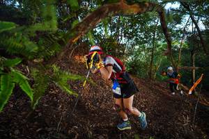 BIB: 
                            <button type="button" onclick="openModal(21872855)" class="btn btn-primary btn-sm float-right btn-popup" data-toggle="modal" data-target=".modal-high-quality">
                        <i class="fas fa-shopping-cart"></i> Add to Cart
                    </button>
                                            <button type="button" onclick="isThisMe(21872855, true)" class="btn btn-success btn-sm float-right btn-popup btn-isme hidden" data-toggle="tooltip" data-placement="bottom" title="นี่คือรูปของคุณใช่ไหม คลิกที่นี่เพื่อเอาเข้าอัลบั้ม">
                        <i class="fas fa-plus"></i> Add to album
                    </button>
                    <button type="button" onclick="isThisMe(21872855, false)" class="btn btn-warning btn-sm float-right btn-popup btn-isnotme hidden">
                        <i class="fas fa-ban"></i> Remove from album
                    </button>