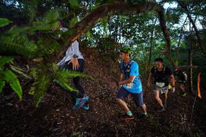 BIB: 
                            <button type="button" onclick="openModal(21866542)" class="btn btn-primary btn-sm float-right btn-popup" data-toggle="modal" data-target=".modal-high-quality">
                        <i class="fas fa-shopping-cart"></i> Add to Cart
                    </button>
                                            <button type="button" onclick="isThisMe(21866542, true)" class="btn btn-success btn-sm float-right btn-popup btn-isme hidden" data-toggle="tooltip" data-placement="bottom" title="นี่คือรูปของคุณใช่ไหม คลิกที่นี่เพื่อเอาเข้าอัลบั้ม">
                        <i class="fas fa-plus"></i> Add to album
                    </button>
                    <button type="button" onclick="isThisMe(21866542, false)" class="btn btn-warning btn-sm float-right btn-popup btn-isnotme hidden">
                        <i class="fas fa-ban"></i> Remove from album
                    </button>