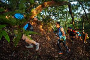 BIB: 
                            <button type="button" onclick="openModal(21870102)" class="btn btn-primary btn-sm float-right btn-popup" data-toggle="modal" data-target=".modal-high-quality">
                        <i class="fas fa-shopping-cart"></i> Add to Cart
                    </button>
                                            <button type="button" onclick="isThisMe(21870102, true)" class="btn btn-success btn-sm float-right btn-popup btn-isme hidden" data-toggle="tooltip" data-placement="bottom" title="นี่คือรูปของคุณใช่ไหม คลิกที่นี่เพื่อเอาเข้าอัลบั้ม">
                        <i class="fas fa-plus"></i> Add to album
                    </button>
                    <button type="button" onclick="isThisMe(21870102, false)" class="btn btn-warning btn-sm float-right btn-popup btn-isnotme hidden">
                        <i class="fas fa-ban"></i> Remove from album
                    </button>