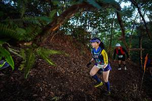 BIB: 
                            <button type="button" onclick="openModal(21866395)" class="btn btn-primary btn-sm float-right btn-popup" data-toggle="modal" data-target=".modal-high-quality">
                        <i class="fas fa-shopping-cart"></i> Add to Cart
                    </button>
                                            <button type="button" onclick="isThisMe(21866395, true)" class="btn btn-success btn-sm float-right btn-popup btn-isme hidden" data-toggle="tooltip" data-placement="bottom" title="นี่คือรูปของคุณใช่ไหม คลิกที่นี่เพื่อเอาเข้าอัลบั้ม">
                        <i class="fas fa-plus"></i> Add to album
                    </button>
                    <button type="button" onclick="isThisMe(21866395, false)" class="btn btn-warning btn-sm float-right btn-popup btn-isnotme hidden">
                        <i class="fas fa-ban"></i> Remove from album
                    </button>