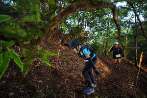 BIB: 
                            <button type="button" onclick="openModal(21873611)" class="btn btn-primary btn-sm float-right btn-popup" data-toggle="modal" data-target=".modal-high-quality">
                        <i class="fas fa-shopping-cart"></i> Add to Cart
                    </button>
                                            <button type="button" onclick="isThisMe(21873611, true)" class="btn btn-success btn-sm float-right btn-popup btn-isme hidden" data-toggle="tooltip" data-placement="bottom" title="นี่คือรูปของคุณใช่ไหม คลิกที่นี่เพื่อเอาเข้าอัลบั้ม">
                        <i class="fas fa-plus"></i> Add to album
                    </button>
                    <button type="button" onclick="isThisMe(21873611, false)" class="btn btn-warning btn-sm float-right btn-popup btn-isnotme hidden">
                        <i class="fas fa-ban"></i> Remove from album
                    </button>