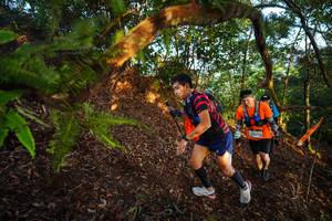 BIB: 3357
                            <button type="button" onclick="openModal(21869987)" class="btn btn-primary btn-sm float-right btn-popup" data-toggle="modal" data-target=".modal-high-quality">
                        <i class="fas fa-shopping-cart"></i> Add to Cart
                    </button>
                                            <button type="button" onclick="isThisMe(21869987, true)" class="btn btn-success btn-sm float-right btn-popup btn-isme hidden" data-toggle="tooltip" data-placement="bottom" title="นี่คือรูปของคุณใช่ไหม คลิกที่นี่เพื่อเอาเข้าอัลบั้ม">
                        <i class="fas fa-plus"></i> Add to album
                    </button>
                    <button type="button" onclick="isThisMe(21869987, false)" class="btn btn-warning btn-sm float-right btn-popup btn-isnotme hidden">
                        <i class="fas fa-ban"></i> Remove from album
                    </button>