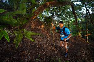 BIB: 
                            <button type="button" onclick="openModal(21868410)" class="btn btn-primary btn-sm float-right btn-popup" data-toggle="modal" data-target=".modal-high-quality">
                        <i class="fas fa-shopping-cart"></i> Add to Cart
                    </button>
                                            <button type="button" onclick="isThisMe(21868410, true)" class="btn btn-success btn-sm float-right btn-popup btn-isme hidden" data-toggle="tooltip" data-placement="bottom" title="นี่คือรูปของคุณใช่ไหม คลิกที่นี่เพื่อเอาเข้าอัลบั้ม">
                        <i class="fas fa-plus"></i> Add to album
                    </button>
                    <button type="button" onclick="isThisMe(21868410, false)" class="btn btn-warning btn-sm float-right btn-popup btn-isnotme hidden">
                        <i class="fas fa-ban"></i> Remove from album
                    </button>