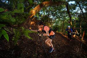 BIB: 
                            <button type="button" onclick="openModal(21870412)" class="btn btn-primary btn-sm float-right btn-popup" data-toggle="modal" data-target=".modal-high-quality">
                        <i class="fas fa-shopping-cart"></i> Add to Cart
                    </button>
                                            <button type="button" onclick="isThisMe(21870412, true)" class="btn btn-success btn-sm float-right btn-popup btn-isme hidden" data-toggle="tooltip" data-placement="bottom" title="นี่คือรูปของคุณใช่ไหม คลิกที่นี่เพื่อเอาเข้าอัลบั้ม">
                        <i class="fas fa-plus"></i> Add to album
                    </button>
                    <button type="button" onclick="isThisMe(21870412, false)" class="btn btn-warning btn-sm float-right btn-popup btn-isnotme hidden">
                        <i class="fas fa-ban"></i> Remove from album
                    </button>