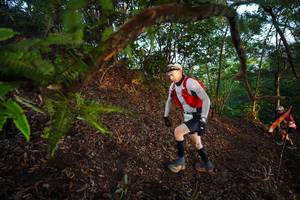 BIB: 421
                            <button type="button" onclick="openModal(21867995)" class="btn btn-primary btn-sm float-right btn-popup" data-toggle="modal" data-target=".modal-high-quality">
                        <i class="fas fa-shopping-cart"></i> Add to Cart
                    </button>
                                            <button type="button" onclick="isThisMe(21867995, true)" class="btn btn-success btn-sm float-right btn-popup btn-isme hidden" data-toggle="tooltip" data-placement="bottom" title="นี่คือรูปของคุณใช่ไหม คลิกที่นี่เพื่อเอาเข้าอัลบั้ม">
                        <i class="fas fa-plus"></i> Add to album
                    </button>
                    <button type="button" onclick="isThisMe(21867995, false)" class="btn btn-warning btn-sm float-right btn-popup btn-isnotme hidden">
                        <i class="fas fa-ban"></i> Remove from album
                    </button>