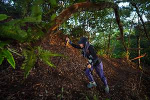 BIB: 
                            <button type="button" onclick="openModal(21868346)" class="btn btn-primary btn-sm float-right btn-popup" data-toggle="modal" data-target=".modal-high-quality">
                        <i class="fas fa-shopping-cart"></i> Add to Cart
                    </button>
                                            <button type="button" onclick="isThisMe(21868346, true)" class="btn btn-success btn-sm float-right btn-popup btn-isme hidden" data-toggle="tooltip" data-placement="bottom" title="นี่คือรูปของคุณใช่ไหม คลิกที่นี่เพื่อเอาเข้าอัลบั้ม">
                        <i class="fas fa-plus"></i> Add to album
                    </button>
                    <button type="button" onclick="isThisMe(21868346, false)" class="btn btn-warning btn-sm float-right btn-popup btn-isnotme hidden">
                        <i class="fas fa-ban"></i> Remove from album
                    </button>