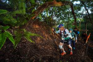 BIB: 
                            <button type="button" onclick="openModal(21872957)" class="btn btn-primary btn-sm float-right btn-popup" data-toggle="modal" data-target=".modal-high-quality">
                        <i class="fas fa-shopping-cart"></i> Add to Cart
                    </button>
                                            <button type="button" onclick="isThisMe(21872957, true)" class="btn btn-success btn-sm float-right btn-popup btn-isme hidden" data-toggle="tooltip" data-placement="bottom" title="นี่คือรูปของคุณใช่ไหม คลิกที่นี่เพื่อเอาเข้าอัลบั้ม">
                        <i class="fas fa-plus"></i> Add to album
                    </button>
                    <button type="button" onclick="isThisMe(21872957, false)" class="btn btn-warning btn-sm float-right btn-popup btn-isnotme hidden">
                        <i class="fas fa-ban"></i> Remove from album
                    </button>