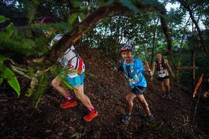 BIB: 
                            <button type="button" onclick="openModal(21866307)" class="btn btn-primary btn-sm float-right btn-popup" data-toggle="modal" data-target=".modal-high-quality">
                        <i class="fas fa-shopping-cart"></i> Add to Cart
                    </button>
                                            <button type="button" onclick="isThisMe(21866307, true)" class="btn btn-success btn-sm float-right btn-popup btn-isme hidden" data-toggle="tooltip" data-placement="bottom" title="นี่คือรูปของคุณใช่ไหม คลิกที่นี่เพื่อเอาเข้าอัลบั้ม">
                        <i class="fas fa-plus"></i> Add to album
                    </button>
                    <button type="button" onclick="isThisMe(21866307, false)" class="btn btn-warning btn-sm float-right btn-popup btn-isnotme hidden">
                        <i class="fas fa-ban"></i> Remove from album
                    </button>