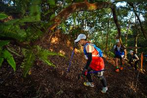 BIB: 
                            <button type="button" onclick="openModal(21871002)" class="btn btn-primary btn-sm float-right btn-popup" data-toggle="modal" data-target=".modal-high-quality">
                        <i class="fas fa-shopping-cart"></i> Add to Cart
                    </button>
                                            <button type="button" onclick="isThisMe(21871002, true)" class="btn btn-success btn-sm float-right btn-popup btn-isme hidden" data-toggle="tooltip" data-placement="bottom" title="นี่คือรูปของคุณใช่ไหม คลิกที่นี่เพื่อเอาเข้าอัลบั้ม">
                        <i class="fas fa-plus"></i> Add to album
                    </button>
                    <button type="button" onclick="isThisMe(21871002, false)" class="btn btn-warning btn-sm float-right btn-popup btn-isnotme hidden">
                        <i class="fas fa-ban"></i> Remove from album
                    </button>