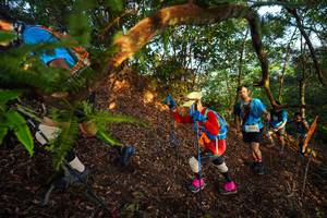 BIB: 
                            <button type="button" onclick="openModal(21870060)" class="btn btn-primary btn-sm float-right btn-popup" data-toggle="modal" data-target=".modal-high-quality">
                        <i class="fas fa-shopping-cart"></i> Add to Cart
                    </button>
                                            <button type="button" onclick="isThisMe(21870060, true)" class="btn btn-success btn-sm float-right btn-popup btn-isme hidden" data-toggle="tooltip" data-placement="bottom" title="นี่คือรูปของคุณใช่ไหม คลิกที่นี่เพื่อเอาเข้าอัลบั้ม">
                        <i class="fas fa-plus"></i> Add to album
                    </button>
                    <button type="button" onclick="isThisMe(21870060, false)" class="btn btn-warning btn-sm float-right btn-popup btn-isnotme hidden">
                        <i class="fas fa-ban"></i> Remove from album
                    </button>