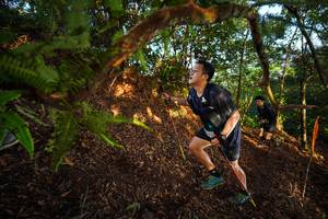 BIB: 
                            <button type="button" onclick="openModal(21871146)" class="btn btn-primary btn-sm float-right btn-popup" data-toggle="modal" data-target=".modal-high-quality">
                        <i class="fas fa-shopping-cart"></i> Add to Cart
                    </button>
                                            <button type="button" onclick="isThisMe(21871146, true)" class="btn btn-success btn-sm float-right btn-popup btn-isme hidden" data-toggle="tooltip" data-placement="bottom" title="นี่คือรูปของคุณใช่ไหม คลิกที่นี่เพื่อเอาเข้าอัลบั้ม">
                        <i class="fas fa-plus"></i> Add to album
                    </button>
                    <button type="button" onclick="isThisMe(21871146, false)" class="btn btn-warning btn-sm float-right btn-popup btn-isnotme hidden">
                        <i class="fas fa-ban"></i> Remove from album
                    </button>