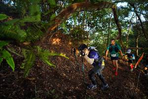 BIB: 
                            <button type="button" onclick="openModal(21871528)" class="btn btn-primary btn-sm float-right btn-popup" data-toggle="modal" data-target=".modal-high-quality">
                        <i class="fas fa-shopping-cart"></i> Add to Cart
                    </button>
                                            <button type="button" onclick="isThisMe(21871528, true)" class="btn btn-success btn-sm float-right btn-popup btn-isme hidden" data-toggle="tooltip" data-placement="bottom" title="นี่คือรูปของคุณใช่ไหม คลิกที่นี่เพื่อเอาเข้าอัลบั้ม">
                        <i class="fas fa-plus"></i> Add to album
                    </button>
                    <button type="button" onclick="isThisMe(21871528, false)" class="btn btn-warning btn-sm float-right btn-popup btn-isnotme hidden">
                        <i class="fas fa-ban"></i> Remove from album
                    </button>