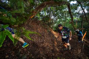 BIB: 2224, 
                            <button type="button" onclick="openModal(21877428)" class="btn btn-primary btn-sm float-right btn-popup" data-toggle="modal" data-target=".modal-high-quality">
                        <i class="fas fa-shopping-cart"></i> Add to Cart
                    </button>
                                            <button type="button" onclick="isThisMe(21877428, true)" class="btn btn-success btn-sm float-right btn-popup btn-isme hidden" data-toggle="tooltip" data-placement="bottom" title="นี่คือรูปของคุณใช่ไหม คลิกที่นี่เพื่อเอาเข้าอัลบั้ม">
                        <i class="fas fa-plus"></i> Add to album
                    </button>
                    <button type="button" onclick="isThisMe(21877428, false)" class="btn btn-warning btn-sm float-right btn-popup btn-isnotme hidden">
                        <i class="fas fa-ban"></i> Remove from album
                    </button>