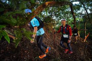 BIB: 2219
                            <button type="button" onclick="openModal(21868698)" class="btn btn-primary btn-sm float-right btn-popup" data-toggle="modal" data-target=".modal-high-quality">
                        <i class="fas fa-shopping-cart"></i> Add to Cart
                    </button>
                                            <button type="button" onclick="isThisMe(21868698, true)" class="btn btn-success btn-sm float-right btn-popup btn-isme hidden" data-toggle="tooltip" data-placement="bottom" title="นี่คือรูปของคุณใช่ไหม คลิกที่นี่เพื่อเอาเข้าอัลบั้ม">
                        <i class="fas fa-plus"></i> Add to album
                    </button>
                    <button type="button" onclick="isThisMe(21868698, false)" class="btn btn-warning btn-sm float-right btn-popup btn-isnotme hidden">
                        <i class="fas fa-ban"></i> Remove from album
                    </button>