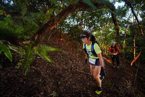 BIB: 2422
                            <button type="button" onclick="openModal(21865681)" class="btn btn-primary btn-sm float-right btn-popup" data-toggle="modal" data-target=".modal-high-quality">
                        <i class="fas fa-shopping-cart"></i> Add to Cart
                    </button>
                                            <button type="button" onclick="isThisMe(21865681, true)" class="btn btn-success btn-sm float-right btn-popup btn-isme hidden" data-toggle="tooltip" data-placement="bottom" title="นี่คือรูปของคุณใช่ไหม คลิกที่นี่เพื่อเอาเข้าอัลบั้ม">
                        <i class="fas fa-plus"></i> Add to album
                    </button>
                    <button type="button" onclick="isThisMe(21865681, false)" class="btn btn-warning btn-sm float-right btn-popup btn-isnotme hidden">
                        <i class="fas fa-ban"></i> Remove from album
                    </button>