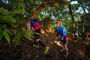 BIB: 
                            <button type="button" onclick="openModal(21871050)" class="btn btn-primary btn-sm float-right btn-popup" data-toggle="modal" data-target=".modal-high-quality">
                        <i class="fas fa-shopping-cart"></i> Add to Cart
                    </button>
                                            <button type="button" onclick="isThisMe(21871050, true)" class="btn btn-success btn-sm float-right btn-popup btn-isme hidden" data-toggle="tooltip" data-placement="bottom" title="นี่คือรูปของคุณใช่ไหม คลิกที่นี่เพื่อเอาเข้าอัลบั้ม">
                        <i class="fas fa-plus"></i> Add to album
                    </button>
                    <button type="button" onclick="isThisMe(21871050, false)" class="btn btn-warning btn-sm float-right btn-popup btn-isnotme hidden">
                        <i class="fas fa-ban"></i> Remove from album
                    </button>