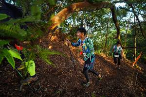 BIB: 
                            <button type="button" onclick="openModal(21870231)" class="btn btn-primary btn-sm float-right btn-popup" data-toggle="modal" data-target=".modal-high-quality">
                        <i class="fas fa-shopping-cart"></i> Add to Cart
                    </button>
                                            <button type="button" onclick="isThisMe(21870231, true)" class="btn btn-success btn-sm float-right btn-popup btn-isme hidden" data-toggle="tooltip" data-placement="bottom" title="นี่คือรูปของคุณใช่ไหม คลิกที่นี่เพื่อเอาเข้าอัลบั้ม">
                        <i class="fas fa-plus"></i> Add to album
                    </button>
                    <button type="button" onclick="isThisMe(21870231, false)" class="btn btn-warning btn-sm float-right btn-popup btn-isnotme hidden">
                        <i class="fas fa-ban"></i> Remove from album
                    </button>