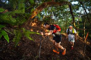 BIB: 225
                            <button type="button" onclick="openModal(21870945)" class="btn btn-primary btn-sm float-right btn-popup" data-toggle="modal" data-target=".modal-high-quality">
                        <i class="fas fa-shopping-cart"></i> Add to Cart
                    </button>
                                            <button type="button" onclick="isThisMe(21870945, true)" class="btn btn-success btn-sm float-right btn-popup btn-isme hidden" data-toggle="tooltip" data-placement="bottom" title="นี่คือรูปของคุณใช่ไหม คลิกที่นี่เพื่อเอาเข้าอัลบั้ม">
                        <i class="fas fa-plus"></i> Add to album
                    </button>
                    <button type="button" onclick="isThisMe(21870945, false)" class="btn btn-warning btn-sm float-right btn-popup btn-isnotme hidden">
                        <i class="fas fa-ban"></i> Remove from album
                    </button>