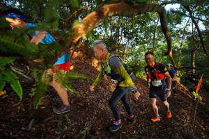 BIB: 5289
                            <button type="button" onclick="openModal(21870183)" class="btn btn-primary btn-sm float-right btn-popup" data-toggle="modal" data-target=".modal-high-quality">
                        <i class="fas fa-shopping-cart"></i> Add to Cart
                    </button>
                                            <button type="button" onclick="isThisMe(21870183, true)" class="btn btn-success btn-sm float-right btn-popup btn-isme hidden" data-toggle="tooltip" data-placement="bottom" title="นี่คือรูปของคุณใช่ไหม คลิกที่นี่เพื่อเอาเข้าอัลบั้ม">
                        <i class="fas fa-plus"></i> Add to album
                    </button>
                    <button type="button" onclick="isThisMe(21870183, false)" class="btn btn-warning btn-sm float-right btn-popup btn-isnotme hidden">
                        <i class="fas fa-ban"></i> Remove from album
                    </button>