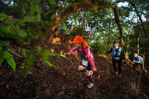 BIB: 2131
                            <button type="button" onclick="openModal(21871103)" class="btn btn-primary btn-sm float-right btn-popup" data-toggle="modal" data-target=".modal-high-quality">
                        <i class="fas fa-shopping-cart"></i> Add to Cart
                    </button>
                                            <button type="button" onclick="isThisMe(21871103, true)" class="btn btn-success btn-sm float-right btn-popup btn-isme hidden" data-toggle="tooltip" data-placement="bottom" title="นี่คือรูปของคุณใช่ไหม คลิกที่นี่เพื่อเอาเข้าอัลบั้ม">
                        <i class="fas fa-plus"></i> Add to album
                    </button>
                    <button type="button" onclick="isThisMe(21871103, false)" class="btn btn-warning btn-sm float-right btn-popup btn-isnotme hidden">
                        <i class="fas fa-ban"></i> Remove from album
                    </button>