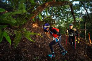 BIB: 
                            <button type="button" onclick="openModal(21871662)" class="btn btn-primary btn-sm float-right btn-popup" data-toggle="modal" data-target=".modal-high-quality">
                        <i class="fas fa-shopping-cart"></i> Add to Cart
                    </button>
                                            <button type="button" onclick="isThisMe(21871662, true)" class="btn btn-success btn-sm float-right btn-popup btn-isme hidden" data-toggle="tooltip" data-placement="bottom" title="นี่คือรูปของคุณใช่ไหม คลิกที่นี่เพื่อเอาเข้าอัลบั้ม">
                        <i class="fas fa-plus"></i> Add to album
                    </button>
                    <button type="button" onclick="isThisMe(21871662, false)" class="btn btn-warning btn-sm float-right btn-popup btn-isnotme hidden">
                        <i class="fas fa-ban"></i> Remove from album
                    </button>