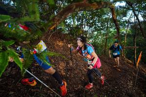 BIB: 
                            <button type="button" onclick="openModal(21877391)" class="btn btn-primary btn-sm float-right btn-popup" data-toggle="modal" data-target=".modal-high-quality">
                        <i class="fas fa-shopping-cart"></i> Add to Cart
                    </button>
                                            <button type="button" onclick="isThisMe(21877391, true)" class="btn btn-success btn-sm float-right btn-popup btn-isme hidden" data-toggle="tooltip" data-placement="bottom" title="นี่คือรูปของคุณใช่ไหม คลิกที่นี่เพื่อเอาเข้าอัลบั้ม">
                        <i class="fas fa-plus"></i> Add to album
                    </button>
                    <button type="button" onclick="isThisMe(21877391, false)" class="btn btn-warning btn-sm float-right btn-popup btn-isnotme hidden">
                        <i class="fas fa-ban"></i> Remove from album
                    </button>