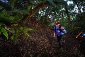 BIB: 
                            <button type="button" onclick="openModal(21866127)" class="btn btn-primary btn-sm float-right btn-popup" data-toggle="modal" data-target=".modal-high-quality">
                        <i class="fas fa-shopping-cart"></i> Add to Cart
                    </button>
                                            <button type="button" onclick="isThisMe(21866127, true)" class="btn btn-success btn-sm float-right btn-popup btn-isme hidden" data-toggle="tooltip" data-placement="bottom" title="นี่คือรูปของคุณใช่ไหม คลิกที่นี่เพื่อเอาเข้าอัลบั้ม">
                        <i class="fas fa-plus"></i> Add to album
                    </button>
                    <button type="button" onclick="isThisMe(21866127, false)" class="btn btn-warning btn-sm float-right btn-popup btn-isnotme hidden">
                        <i class="fas fa-ban"></i> Remove from album
                    </button>