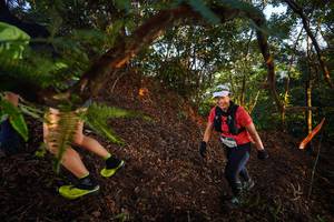 BIB: 
                            <button type="button" onclick="openModal(21865708)" class="btn btn-primary btn-sm float-right btn-popup" data-toggle="modal" data-target=".modal-high-quality">
                        <i class="fas fa-shopping-cart"></i> Add to Cart
                    </button>
                                            <button type="button" onclick="isThisMe(21865708, true)" class="btn btn-success btn-sm float-right btn-popup btn-isme hidden" data-toggle="tooltip" data-placement="bottom" title="นี่คือรูปของคุณใช่ไหม คลิกที่นี่เพื่อเอาเข้าอัลบั้ม">
                        <i class="fas fa-plus"></i> Add to album
                    </button>
                    <button type="button" onclick="isThisMe(21865708, false)" class="btn btn-warning btn-sm float-right btn-popup btn-isnotme hidden">
                        <i class="fas fa-ban"></i> Remove from album
                    </button>