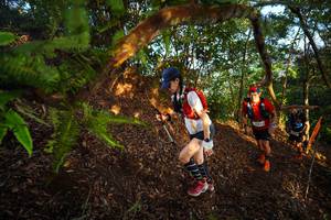 BIB: 
                            <button type="button" onclick="openModal(21870915)" class="btn btn-primary btn-sm float-right btn-popup" data-toggle="modal" data-target=".modal-high-quality">
                        <i class="fas fa-shopping-cart"></i> Add to Cart
                    </button>
                                            <button type="button" onclick="isThisMe(21870915, true)" class="btn btn-success btn-sm float-right btn-popup btn-isme hidden" data-toggle="tooltip" data-placement="bottom" title="นี่คือรูปของคุณใช่ไหม คลิกที่นี่เพื่อเอาเข้าอัลบั้ม">
                        <i class="fas fa-plus"></i> Add to album
                    </button>
                    <button type="button" onclick="isThisMe(21870915, false)" class="btn btn-warning btn-sm float-right btn-popup btn-isnotme hidden">
                        <i class="fas fa-ban"></i> Remove from album
                    </button>