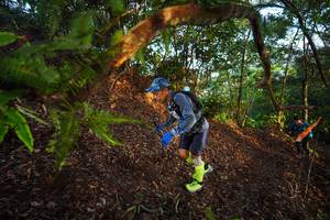 BIB: 
                            <button type="button" onclick="openModal(21869596)" class="btn btn-primary btn-sm float-right btn-popup" data-toggle="modal" data-target=".modal-high-quality">
                        <i class="fas fa-shopping-cart"></i> Add to Cart
                    </button>
                                            <button type="button" onclick="isThisMe(21869596, true)" class="btn btn-success btn-sm float-right btn-popup btn-isme hidden" data-toggle="tooltip" data-placement="bottom" title="นี่คือรูปของคุณใช่ไหม คลิกที่นี่เพื่อเอาเข้าอัลบั้ม">
                        <i class="fas fa-plus"></i> Add to album
                    </button>
                    <button type="button" onclick="isThisMe(21869596, false)" class="btn btn-warning btn-sm float-right btn-popup btn-isnotme hidden">
                        <i class="fas fa-ban"></i> Remove from album
                    </button>