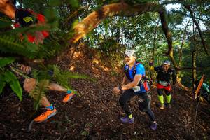 BIB: 080
                            <button type="button" onclick="openModal(21870197)" class="btn btn-primary btn-sm float-right btn-popup" data-toggle="modal" data-target=".modal-high-quality">
                        <i class="fas fa-shopping-cart"></i> Add to Cart
                    </button>
                                            <button type="button" onclick="isThisMe(21870197, true)" class="btn btn-success btn-sm float-right btn-popup btn-isme hidden" data-toggle="tooltip" data-placement="bottom" title="นี่คือรูปของคุณใช่ไหม คลิกที่นี่เพื่อเอาเข้าอัลบั้ม">
                        <i class="fas fa-plus"></i> Add to album
                    </button>
                    <button type="button" onclick="isThisMe(21870197, false)" class="btn btn-warning btn-sm float-right btn-popup btn-isnotme hidden">
                        <i class="fas fa-ban"></i> Remove from album
                    </button>