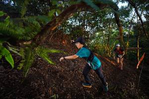 BIB: 
                            <button type="button" onclick="openModal(21865952)" class="btn btn-primary btn-sm float-right btn-popup" data-toggle="modal" data-target=".modal-high-quality">
                        <i class="fas fa-shopping-cart"></i> Add to Cart
                    </button>
                                            <button type="button" onclick="isThisMe(21865952, true)" class="btn btn-success btn-sm float-right btn-popup btn-isme hidden" data-toggle="tooltip" data-placement="bottom" title="นี่คือรูปของคุณใช่ไหม คลิกที่นี่เพื่อเอาเข้าอัลบั้ม">
                        <i class="fas fa-plus"></i> Add to album
                    </button>
                    <button type="button" onclick="isThisMe(21865952, false)" class="btn btn-warning btn-sm float-right btn-popup btn-isnotme hidden">
                        <i class="fas fa-ban"></i> Remove from album
                    </button>