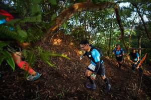 BIB: 245
                            <button type="button" onclick="openModal(21871570)" class="btn btn-primary btn-sm float-right btn-popup" data-toggle="modal" data-target=".modal-high-quality">
                        <i class="fas fa-shopping-cart"></i> Add to Cart
                    </button>
                                            <button type="button" onclick="isThisMe(21871570, true)" class="btn btn-success btn-sm float-right btn-popup btn-isme hidden" data-toggle="tooltip" data-placement="bottom" title="นี่คือรูปของคุณใช่ไหม คลิกที่นี่เพื่อเอาเข้าอัลบั้ม">
                        <i class="fas fa-plus"></i> Add to album
                    </button>
                    <button type="button" onclick="isThisMe(21871570, false)" class="btn btn-warning btn-sm float-right btn-popup btn-isnotme hidden">
                        <i class="fas fa-ban"></i> Remove from album
                    </button>