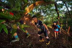 BIB: 
                            <button type="button" onclick="openModal(21870159)" class="btn btn-primary btn-sm float-right btn-popup" data-toggle="modal" data-target=".modal-high-quality">
                        <i class="fas fa-shopping-cart"></i> Add to Cart
                    </button>
                                            <button type="button" onclick="isThisMe(21870159, true)" class="btn btn-success btn-sm float-right btn-popup btn-isme hidden" data-toggle="tooltip" data-placement="bottom" title="นี่คือรูปของคุณใช่ไหม คลิกที่นี่เพื่อเอาเข้าอัลบั้ม">
                        <i class="fas fa-plus"></i> Add to album
                    </button>
                    <button type="button" onclick="isThisMe(21870159, false)" class="btn btn-warning btn-sm float-right btn-popup btn-isnotme hidden">
                        <i class="fas fa-ban"></i> Remove from album
                    </button>