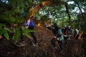 BIB: 
                            <button type="button" onclick="openModal(21869319)" class="btn btn-primary btn-sm float-right btn-popup" data-toggle="modal" data-target=".modal-high-quality">
                        <i class="fas fa-shopping-cart"></i> Add to Cart
                    </button>
                                            <button type="button" onclick="isThisMe(21869319, true)" class="btn btn-success btn-sm float-right btn-popup btn-isme hidden" data-toggle="tooltip" data-placement="bottom" title="นี่คือรูปของคุณใช่ไหม คลิกที่นี่เพื่อเอาเข้าอัลบั้ม">
                        <i class="fas fa-plus"></i> Add to album
                    </button>
                    <button type="button" onclick="isThisMe(21869319, false)" class="btn btn-warning btn-sm float-right btn-popup btn-isnotme hidden">
                        <i class="fas fa-ban"></i> Remove from album
                    </button>