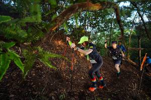 BIB: 
                            <button type="button" onclick="openModal(21873352)" class="btn btn-primary btn-sm float-right btn-popup" data-toggle="modal" data-target=".modal-high-quality">
                        <i class="fas fa-shopping-cart"></i> Add to Cart
                    </button>
                                            <button type="button" onclick="isThisMe(21873352, true)" class="btn btn-success btn-sm float-right btn-popup btn-isme hidden" data-toggle="tooltip" data-placement="bottom" title="นี่คือรูปของคุณใช่ไหม คลิกที่นี่เพื่อเอาเข้าอัลบั้ม">
                        <i class="fas fa-plus"></i> Add to album
                    </button>
                    <button type="button" onclick="isThisMe(21873352, false)" class="btn btn-warning btn-sm float-right btn-popup btn-isnotme hidden">
                        <i class="fas fa-ban"></i> Remove from album
                    </button>