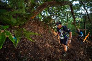 BIB: 2024
                            <button type="button" onclick="openModal(21877515)" class="btn btn-primary btn-sm float-right btn-popup" data-toggle="modal" data-target=".modal-high-quality">
                        <i class="fas fa-shopping-cart"></i> Add to Cart
                    </button>
                                            <button type="button" onclick="isThisMe(21877515, true)" class="btn btn-success btn-sm float-right btn-popup btn-isme hidden" data-toggle="tooltip" data-placement="bottom" title="นี่คือรูปของคุณใช่ไหม คลิกที่นี่เพื่อเอาเข้าอัลบั้ม">
                        <i class="fas fa-plus"></i> Add to album
                    </button>
                    <button type="button" onclick="isThisMe(21877515, false)" class="btn btn-warning btn-sm float-right btn-popup btn-isnotme hidden">
                        <i class="fas fa-ban"></i> Remove from album
                    </button>