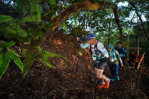 BIB: 
                            <button type="button" onclick="openModal(21872977)" class="btn btn-primary btn-sm float-right btn-popup" data-toggle="modal" data-target=".modal-high-quality">
                        <i class="fas fa-shopping-cart"></i> Add to Cart
                    </button>
                                            <button type="button" onclick="isThisMe(21872977, true)" class="btn btn-success btn-sm float-right btn-popup btn-isme hidden" data-toggle="tooltip" data-placement="bottom" title="นี่คือรูปของคุณใช่ไหม คลิกที่นี่เพื่อเอาเข้าอัลบั้ม">
                        <i class="fas fa-plus"></i> Add to album
                    </button>
                    <button type="button" onclick="isThisMe(21872977, false)" class="btn btn-warning btn-sm float-right btn-popup btn-isnotme hidden">
                        <i class="fas fa-ban"></i> Remove from album
                    </button>