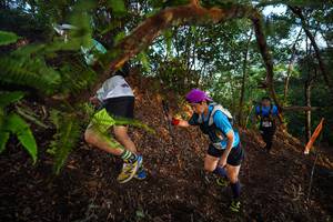 BIB: 
                            <button type="button" onclick="openModal(21872457)" class="btn btn-primary btn-sm float-right btn-popup" data-toggle="modal" data-target=".modal-high-quality">
                        <i class="fas fa-shopping-cart"></i> Add to Cart
                    </button>
                                            <button type="button" onclick="isThisMe(21872457, true)" class="btn btn-success btn-sm float-right btn-popup btn-isme hidden" data-toggle="tooltip" data-placement="bottom" title="นี่คือรูปของคุณใช่ไหม คลิกที่นี่เพื่อเอาเข้าอัลบั้ม">
                        <i class="fas fa-plus"></i> Add to album
                    </button>
                    <button type="button" onclick="isThisMe(21872457, false)" class="btn btn-warning btn-sm float-right btn-popup btn-isnotme hidden">
                        <i class="fas fa-ban"></i> Remove from album
                    </button>