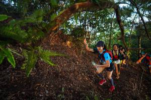 BIB: 
                            <button type="button" onclick="openModal(21868423)" class="btn btn-primary btn-sm float-right btn-popup" data-toggle="modal" data-target=".modal-high-quality">
                        <i class="fas fa-shopping-cart"></i> Add to Cart
                    </button>
                                            <button type="button" onclick="isThisMe(21868423, true)" class="btn btn-success btn-sm float-right btn-popup btn-isme hidden" data-toggle="tooltip" data-placement="bottom" title="นี่คือรูปของคุณใช่ไหม คลิกที่นี่เพื่อเอาเข้าอัลบั้ม">
                        <i class="fas fa-plus"></i> Add to album
                    </button>
                    <button type="button" onclick="isThisMe(21868423, false)" class="btn btn-warning btn-sm float-right btn-popup btn-isnotme hidden">
                        <i class="fas fa-ban"></i> Remove from album
                    </button>