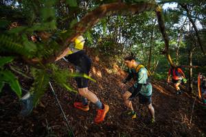 BIB: 
                            <button type="button" onclick="openModal(21871314)" class="btn btn-primary btn-sm float-right btn-popup" data-toggle="modal" data-target=".modal-high-quality">
                        <i class="fas fa-shopping-cart"></i> Add to Cart
                    </button>
                                            <button type="button" onclick="isThisMe(21871314, true)" class="btn btn-success btn-sm float-right btn-popup btn-isme hidden" data-toggle="tooltip" data-placement="bottom" title="นี่คือรูปของคุณใช่ไหม คลิกที่นี่เพื่อเอาเข้าอัลบั้ม">
                        <i class="fas fa-plus"></i> Add to album
                    </button>
                    <button type="button" onclick="isThisMe(21871314, false)" class="btn btn-warning btn-sm float-right btn-popup btn-isnotme hidden">
                        <i class="fas fa-ban"></i> Remove from album
                    </button>