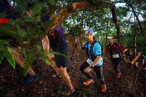 BIB: 2281, 3319
                            <button type="button" onclick="openModal(21868667)" class="btn btn-primary btn-sm float-right btn-popup" data-toggle="modal" data-target=".modal-high-quality">
                        <i class="fas fa-shopping-cart"></i> Add to Cart
                    </button>
                                            <button type="button" onclick="isThisMe(21868667, true)" class="btn btn-success btn-sm float-right btn-popup btn-isme hidden" data-toggle="tooltip" data-placement="bottom" title="นี่คือรูปของคุณใช่ไหม คลิกที่นี่เพื่อเอาเข้าอัลบั้ม">
                        <i class="fas fa-plus"></i> Add to album
                    </button>
                    <button type="button" onclick="isThisMe(21868667, false)" class="btn btn-warning btn-sm float-right btn-popup btn-isnotme hidden">
                        <i class="fas fa-ban"></i> Remove from album
                    </button>