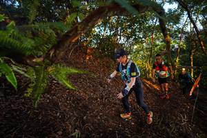 BIB: 
                            <button type="button" onclick="openModal(21865751)" class="btn btn-primary btn-sm float-right btn-popup" data-toggle="modal" data-target=".modal-high-quality">
                        <i class="fas fa-shopping-cart"></i> Add to Cart
                    </button>
                                            <button type="button" onclick="isThisMe(21865751, true)" class="btn btn-success btn-sm float-right btn-popup btn-isme hidden" data-toggle="tooltip" data-placement="bottom" title="นี่คือรูปของคุณใช่ไหม คลิกที่นี่เพื่อเอาเข้าอัลบั้ม">
                        <i class="fas fa-plus"></i> Add to album
                    </button>
                    <button type="button" onclick="isThisMe(21865751, false)" class="btn btn-warning btn-sm float-right btn-popup btn-isnotme hidden">
                        <i class="fas fa-ban"></i> Remove from album
                    </button>