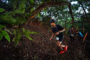 BIB: 2248
                            <button type="button" onclick="openModal(21866877)" class="btn btn-primary btn-sm float-right btn-popup" data-toggle="modal" data-target=".modal-high-quality">
                        <i class="fas fa-shopping-cart"></i> Add to Cart
                    </button>
                                            <button type="button" onclick="isThisMe(21866877, true)" class="btn btn-success btn-sm float-right btn-popup btn-isme hidden" data-toggle="tooltip" data-placement="bottom" title="นี่คือรูปของคุณใช่ไหม คลิกที่นี่เพื่อเอาเข้าอัลบั้ม">
                        <i class="fas fa-plus"></i> Add to album
                    </button>
                    <button type="button" onclick="isThisMe(21866877, false)" class="btn btn-warning btn-sm float-right btn-popup btn-isnotme hidden">
                        <i class="fas fa-ban"></i> Remove from album
                    </button>