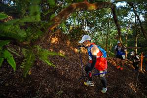 BIB: 
                            <button type="button" onclick="openModal(21870986)" class="btn btn-primary btn-sm float-right btn-popup" data-toggle="modal" data-target=".modal-high-quality">
                        <i class="fas fa-shopping-cart"></i> Add to Cart
                    </button>
                                            <button type="button" onclick="isThisMe(21870986, true)" class="btn btn-success btn-sm float-right btn-popup btn-isme hidden" data-toggle="tooltip" data-placement="bottom" title="นี่คือรูปของคุณใช่ไหม คลิกที่นี่เพื่อเอาเข้าอัลบั้ม">
                        <i class="fas fa-plus"></i> Add to album
                    </button>
                    <button type="button" onclick="isThisMe(21870986, false)" class="btn btn-warning btn-sm float-right btn-popup btn-isnotme hidden">
                        <i class="fas fa-ban"></i> Remove from album
                    </button>