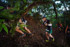 BIB: 
                            <button type="button" onclick="openModal(21866598)" class="btn btn-primary btn-sm float-right btn-popup" data-toggle="modal" data-target=".modal-high-quality">
                        <i class="fas fa-shopping-cart"></i> Add to Cart
                    </button>
                                            <button type="button" onclick="isThisMe(21866598, true)" class="btn btn-success btn-sm float-right btn-popup btn-isme hidden" data-toggle="tooltip" data-placement="bottom" title="นี่คือรูปของคุณใช่ไหม คลิกที่นี่เพื่อเอาเข้าอัลบั้ม">
                        <i class="fas fa-plus"></i> Add to album
                    </button>
                    <button type="button" onclick="isThisMe(21866598, false)" class="btn btn-warning btn-sm float-right btn-popup btn-isnotme hidden">
                        <i class="fas fa-ban"></i> Remove from album
                    </button>