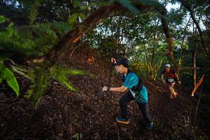 BIB: 
                            <button type="button" onclick="openModal(21865951)" class="btn btn-primary btn-sm float-right btn-popup" data-toggle="modal" data-target=".modal-high-quality">
                        <i class="fas fa-shopping-cart"></i> Add to Cart
                    </button>
                                            <button type="button" onclick="isThisMe(21865951, true)" class="btn btn-success btn-sm float-right btn-popup btn-isme hidden" data-toggle="tooltip" data-placement="bottom" title="นี่คือรูปของคุณใช่ไหม คลิกที่นี่เพื่อเอาเข้าอัลบั้ม">
                        <i class="fas fa-plus"></i> Add to album
                    </button>
                    <button type="button" onclick="isThisMe(21865951, false)" class="btn btn-warning btn-sm float-right btn-popup btn-isnotme hidden">
                        <i class="fas fa-ban"></i> Remove from album
                    </button>