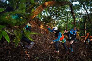 BIB: 
                            <button type="button" onclick="openModal(21869339)" class="btn btn-primary btn-sm float-right btn-popup" data-toggle="modal" data-target=".modal-high-quality">
                        <i class="fas fa-shopping-cart"></i> Add to Cart
                    </button>
                                            <button type="button" onclick="isThisMe(21869339, true)" class="btn btn-success btn-sm float-right btn-popup btn-isme hidden" data-toggle="tooltip" data-placement="bottom" title="นี่คือรูปของคุณใช่ไหม คลิกที่นี่เพื่อเอาเข้าอัลบั้ม">
                        <i class="fas fa-plus"></i> Add to album
                    </button>
                    <button type="button" onclick="isThisMe(21869339, false)" class="btn btn-warning btn-sm float-right btn-popup btn-isnotme hidden">
                        <i class="fas fa-ban"></i> Remove from album
                    </button>